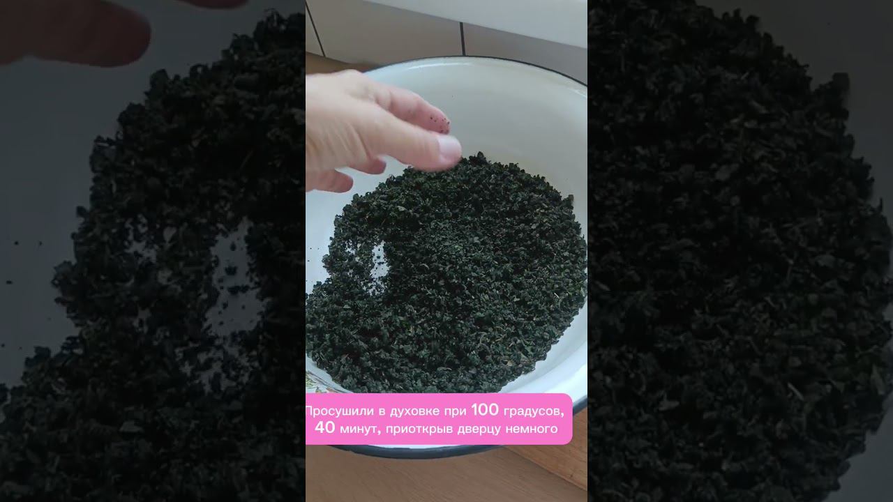 ЧАЙ из ШЕЛКОВИЦЫ!