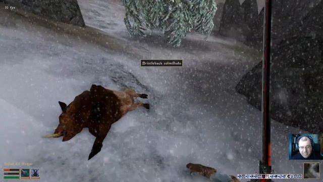 Vamos A Jugar A: Morrowind Overhaul - Bloodmoon [189]