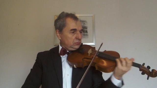 Simphony №40 W A Mozart Paul Mauriat By Violinist Vladimir Papykin