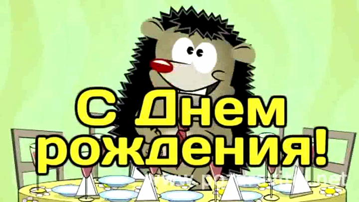 С ДНЁМ РОЖДЕНИЯ от Ёжика! смотреть онлайн