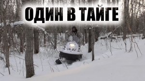 Один в тайгу на снегоходе ТАЙГА ВАРЯГ 550.Таежные приключения