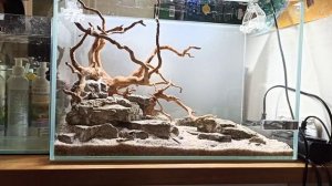 Оформление аквариума на 30 литров.