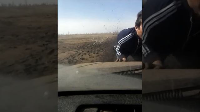 Поехали на рыбалку а там смотреть онлайн