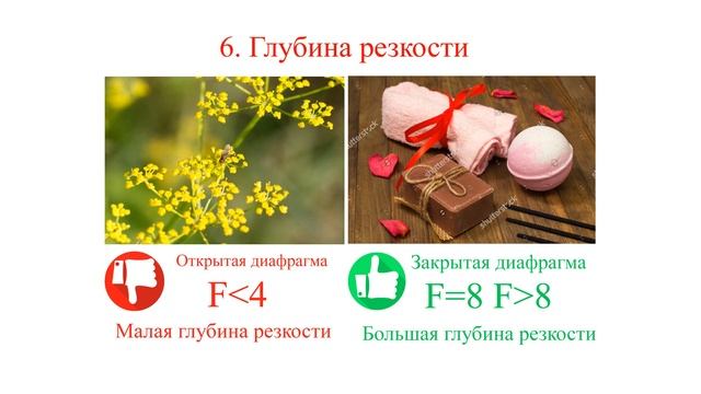 Как сдать экзамен на Shutterstock фотографу (+регистрация)