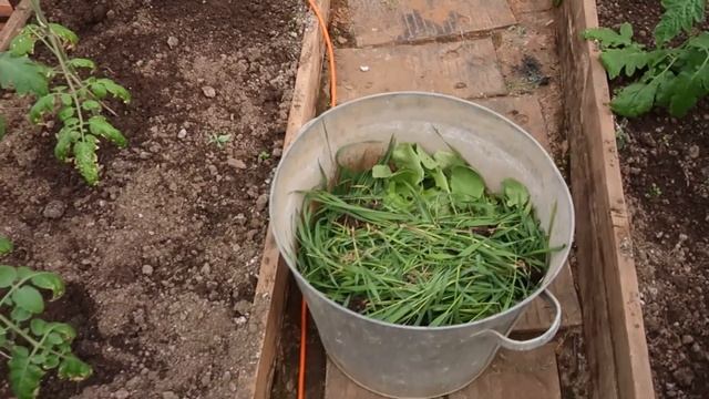 Холода проходят| Продолжаю посадки смотреть онлайн