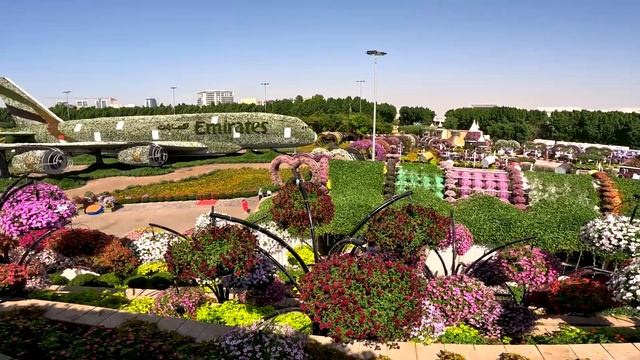 Este Jardin es como estar en un SUEÑO: El jardin de DUBAI - The Miracle Garden ?? смотреть онлайн