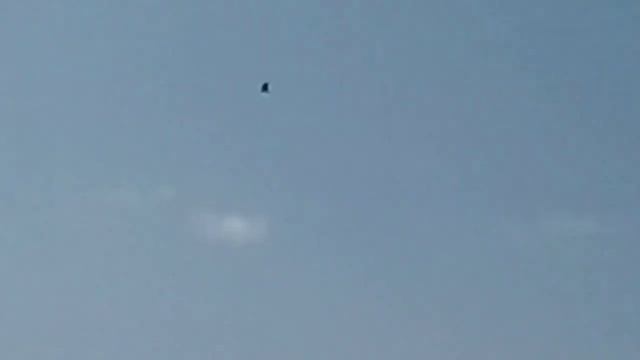 Абхазия Гудаута Август 2019 смотреть онлайн