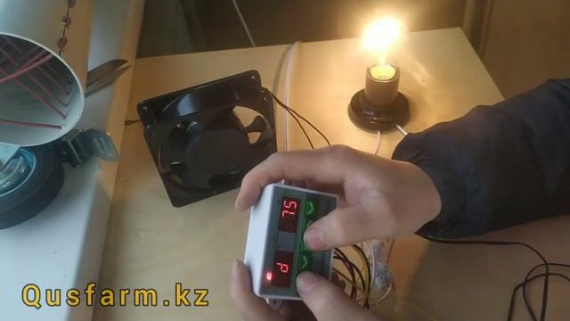 Екіканалды терморегулятор ST3012 сигналмен зуммер брудерге қосу және қолдану смотреть онлайн
