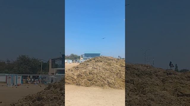 АНАПА. 25 июля 2023 г. Сегодня на пляже возле речки АНАПКА. смотреть онлайн