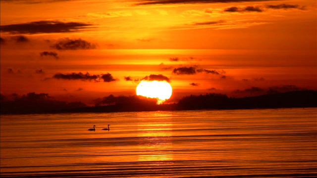 Швайгхаммер Евгений - Мой друг смотреть онлайн