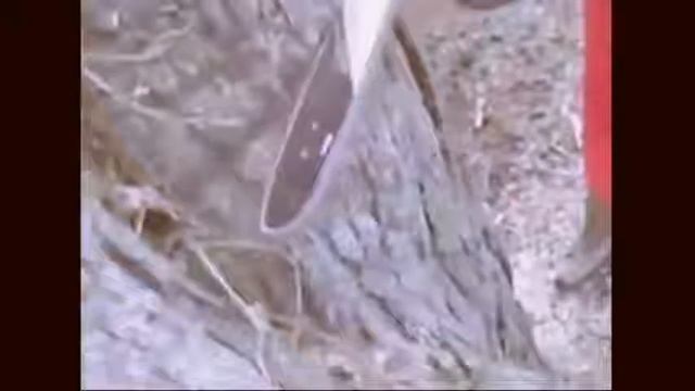 Точилка для бензопилы смотреть онлайн