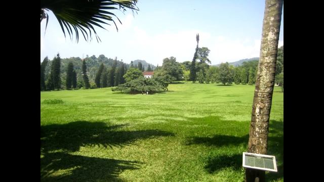 Шри Ланка Маравила отель Club Palm Bay 4* смотреть онлайн