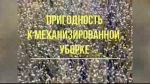 Высокоурожайный сорт льна масличного ЛИРИНА