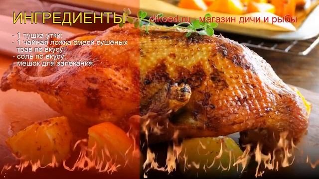 Приключения на Воде