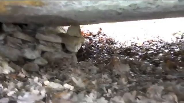 дольмены Мекензи