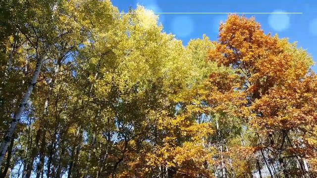 В небе жгут корабли...или осень на Pennock Avenue. смотреть онлайн
