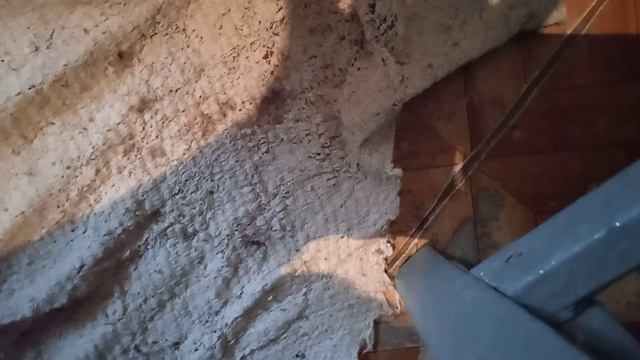 Как я готовлю б/у ёмкости под рассаду. смотреть онлайн