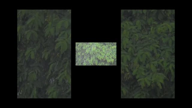 Бывает, так безумно меня любят 🤩 смотреть онлайн
