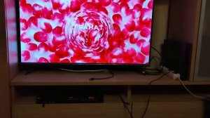 Подключение ДО4K видеоплееров, DVD, старых камер к умному телевизора Smart TV 4K TCL L43P8MUS