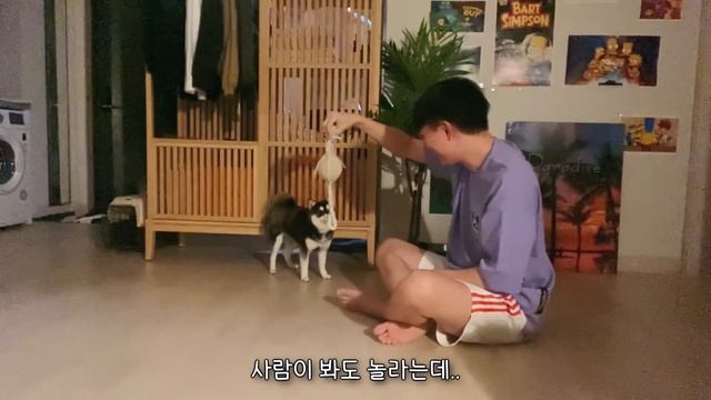 [SUB] 천안 게이투어 브이로그 : 이태원 무희들과 폼스키 맥스 ???