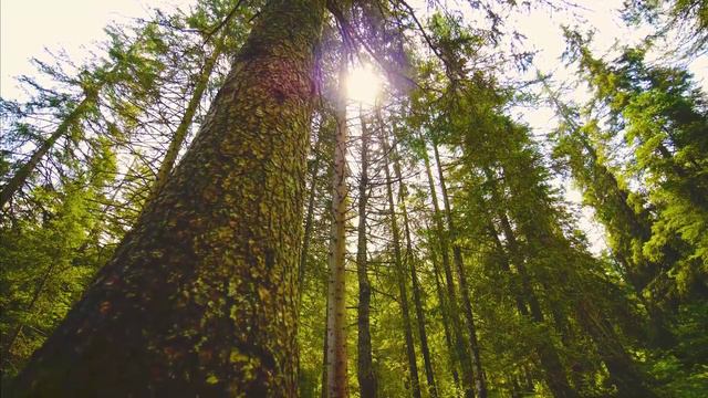 Доброе утро! смотреть онлайн