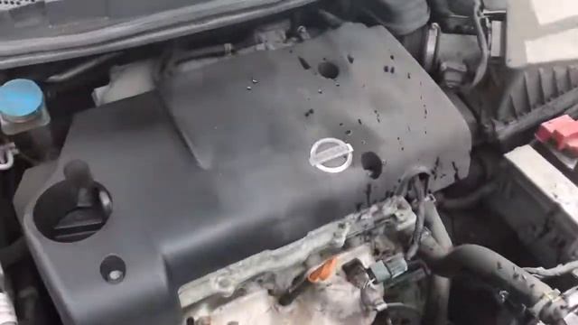 Разборка Nissan - Primera P12 2002-2007, 1.8 Инжектор (VIN: SJNFBAP12U0240465) FP05UKM смотреть онлайн
