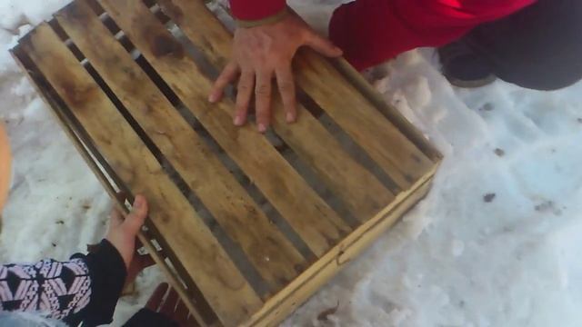 Ловля скворца смотреть онлайн