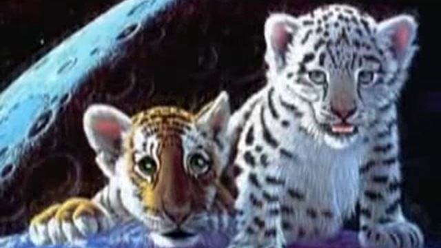 С НОВЫМ 2010 ГОДОМ ТИГРА!!! смотреть онлайн