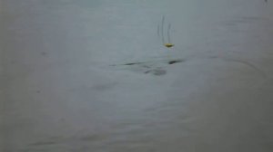 Ловля Сазана на Каме, Татария