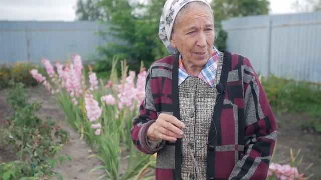 Когда посадить малину. Лучшее время посадки малины. смотреть онлайн