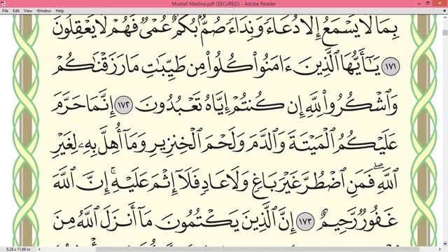 Шейх Айман Сувейд Сура Бакара стр 26 смотреть онлайн