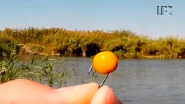 Как ловить леща в мае? смотреть онлайн