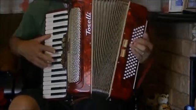 Acordeon Toselli 80 Baixos - VENDIDO смотреть онлайн