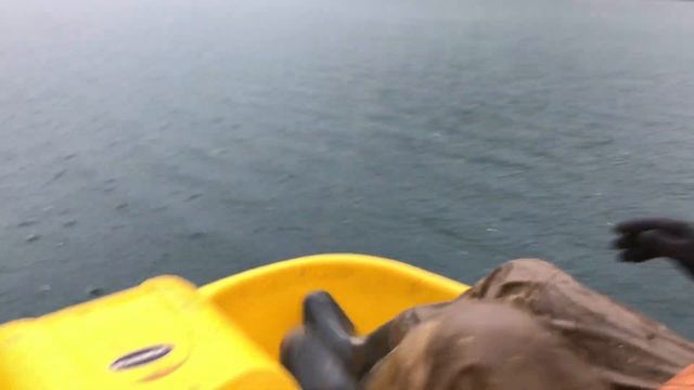 Приисковый. Долина озер. Ищем маршрут до медвежьего озера. Не официальная версия. смотреть онлайн