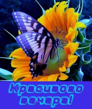 Добрый Вечер! Не скучай