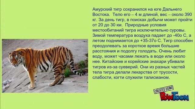 Красная книга животных смотреть онлайн