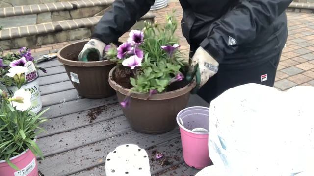 Planting Hanging Baskets for spring/Summer. смотреть онлайн