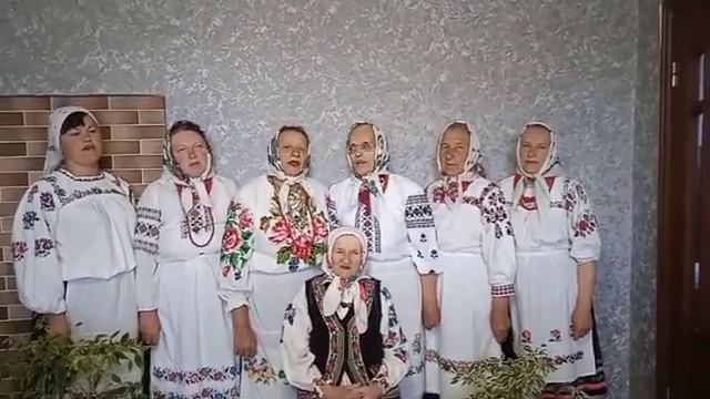 Народний аматорський фольклорний ансамбль Надвечір'я. Хиночі. Пісня - Ой чого калина смотреть онлайн