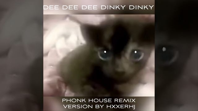 phonk dee dee dinky dinky cat смотреть онлайн