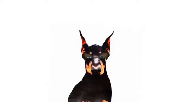The Animal Sounds Doberman Pinscher Barking Sound Effect Animation смотреть онлайн