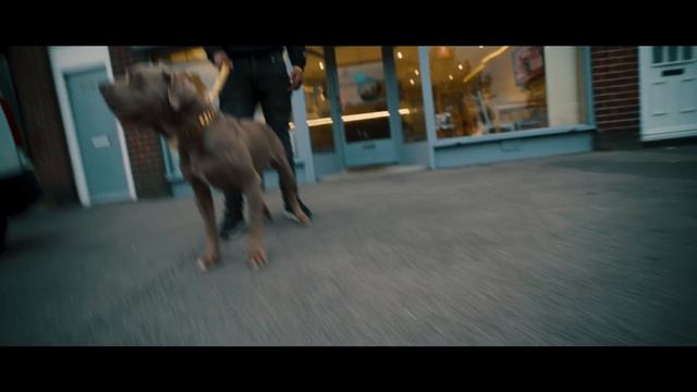 Anderson 100 Ft Fox - Mercedes Coupe [Music Video] смотреть онлайн