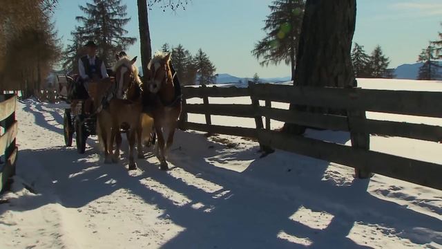 Graziano - Weißer Winterwald (Offizielles Musikvideo)