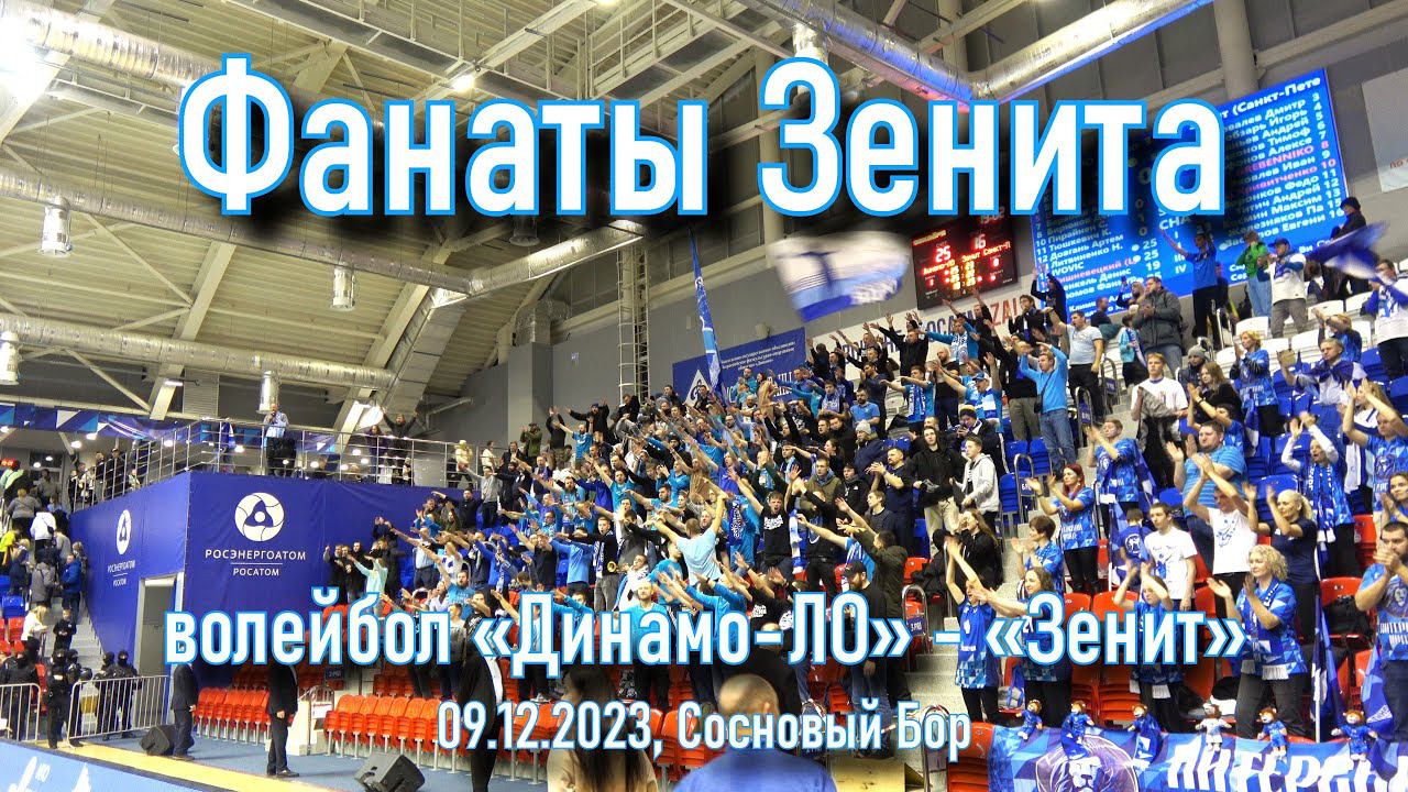 Фанаты и команда - волейбол «Динамо-ЛО» -«Зенит» 09.12. 2023 смотреть онлайн