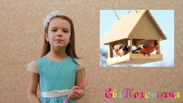 ЕваПочемучка - куда снегири улетают летом? смотреть онлайн