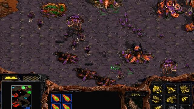 StarCraft Brood War. Прохождение. Часть 6. 5 я миссия за зергов. «Истинный цвет» смотреть онлайн