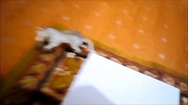 Ногавки на модель лошади размера паддок смотреть онлайн