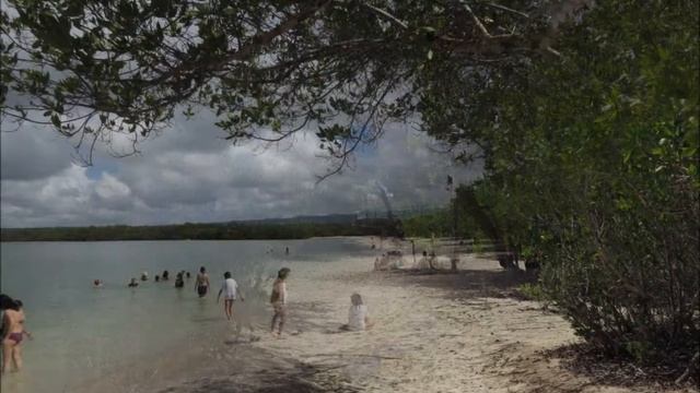 Galápagos 2012: Tortuga Bay смотреть онлайн