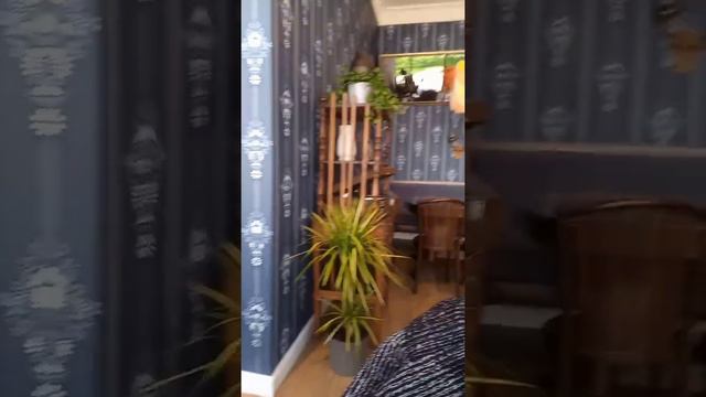 Геленджик сегодня.Новинка сезона!Кафе" Кошка Мандельштам".Поуютничаем🍰☕🧁? смотреть онлайн