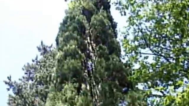 ДЕДЕРКОЙ. дорогой на пляж 1