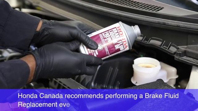 Honda Brake Fluid Replacement service at Mississauga Honda смотреть онлайн